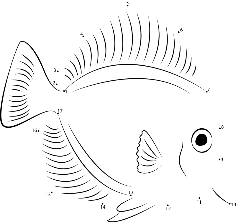 Lemonpeel Angelfish dot to dot worksheets