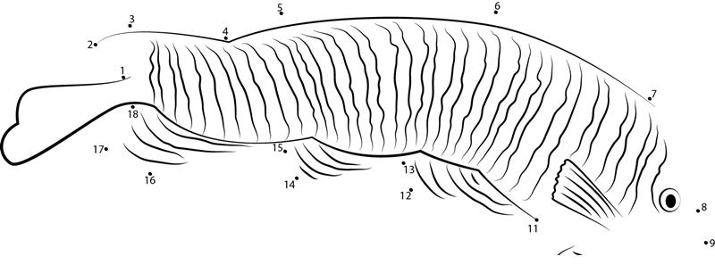 Long Angelfish printable dot to dot worksheet