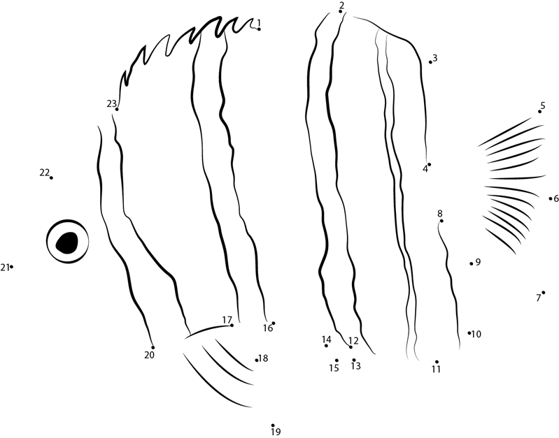 Paracentropyge Boylei printable dot to dot worksheet