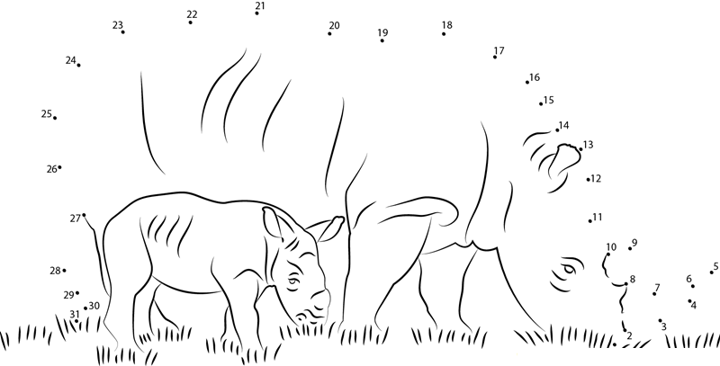 Rhino With Her Baby dot to dot worksheets