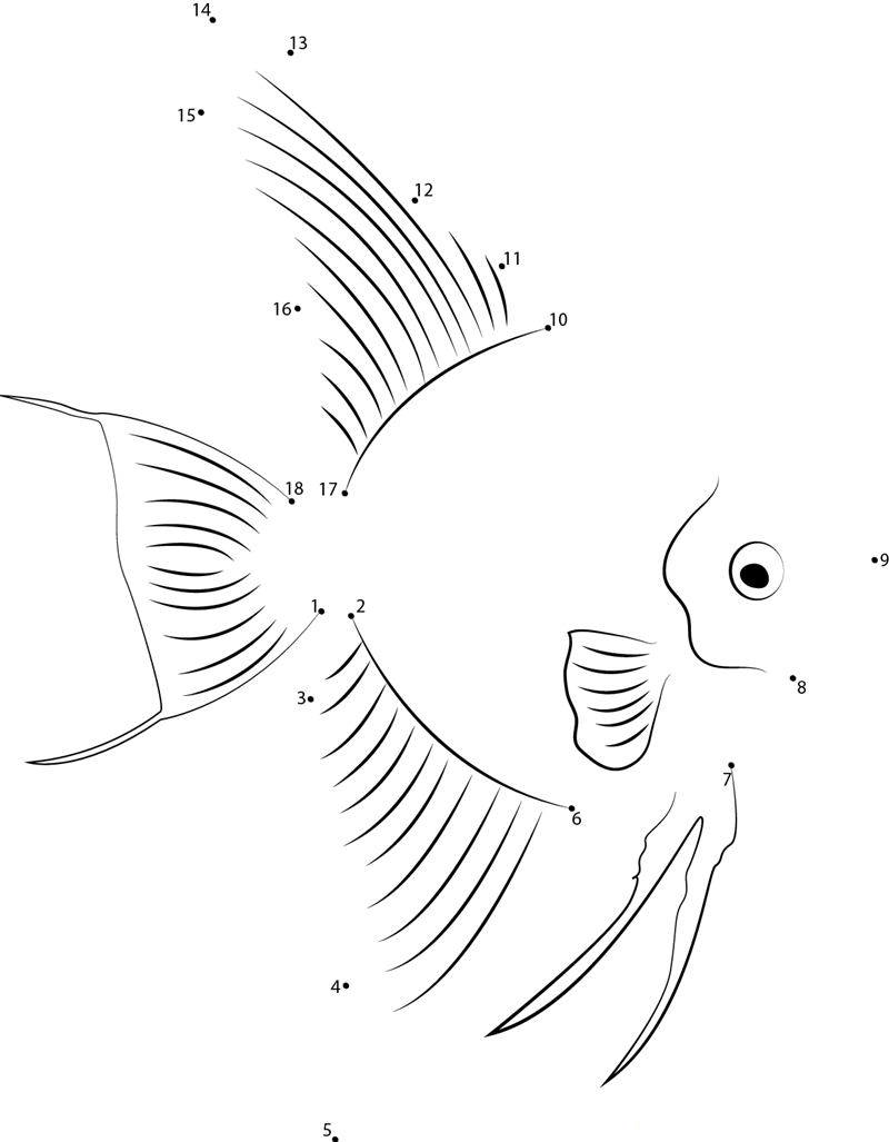 Pterophyllum dot to dot worksheets