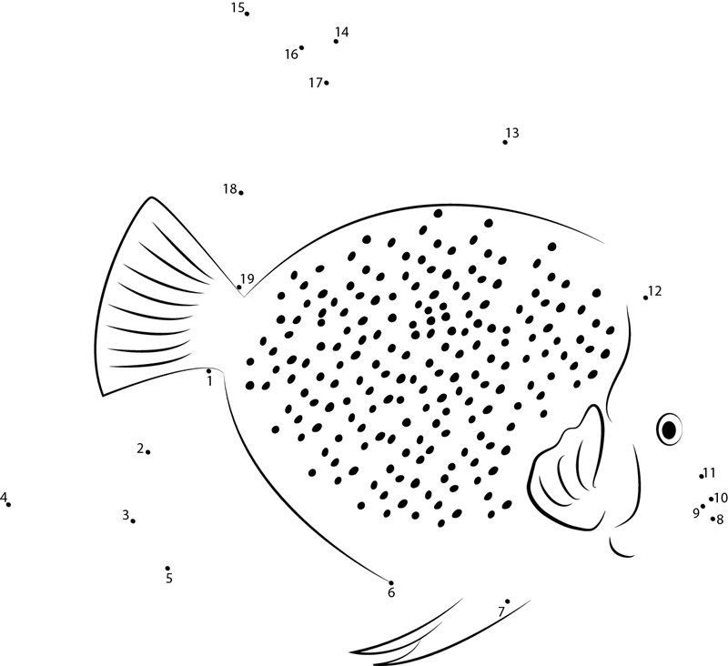 Spotted Angelfish printable dot to dot worksheet