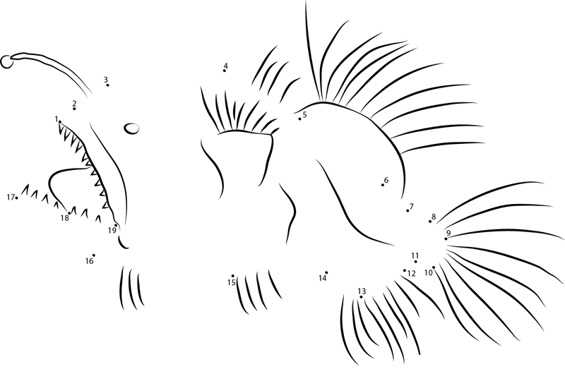 Adult Anglerfish dot to dot worksheets