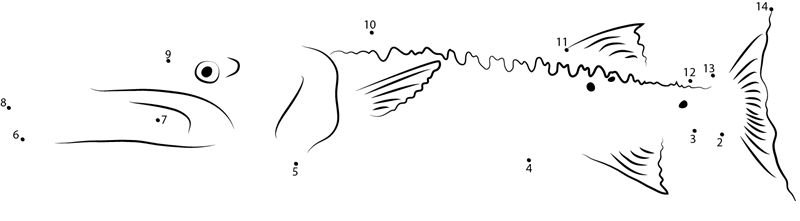 Bahamas Barracuda printable dot to dot worksheet