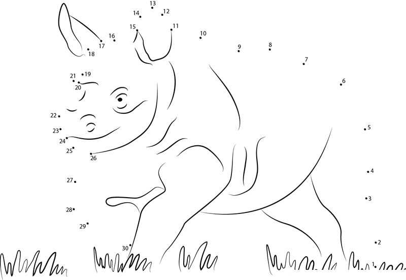 Running Baby Rhino printable dot to dot worksheet