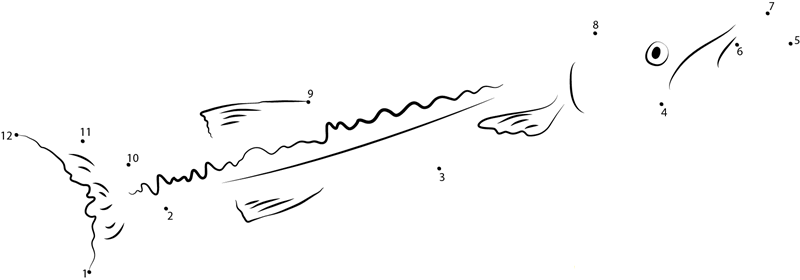 Coastal Pelagics dot to dot worksheets