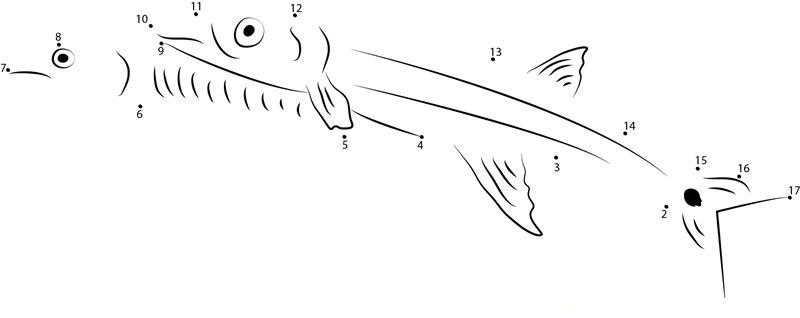 European Barracuda printable dot to dot worksheet