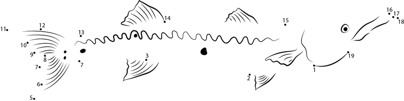 Fly Fishing For Barracuda printable dot to dot worksheet