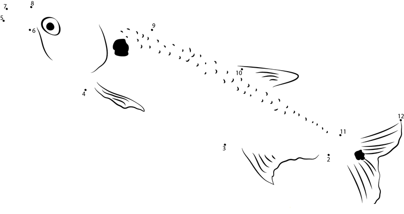 Guachanche Barracuda dot to dot worksheets