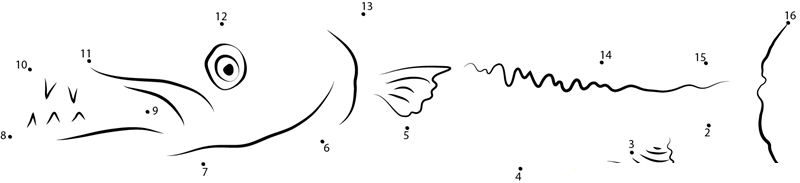 Obtuse Barracuda printable dot to dot worksheet