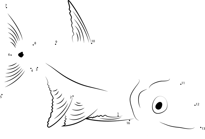 Yellowmouth Barracuda printable dot to dot worksheet