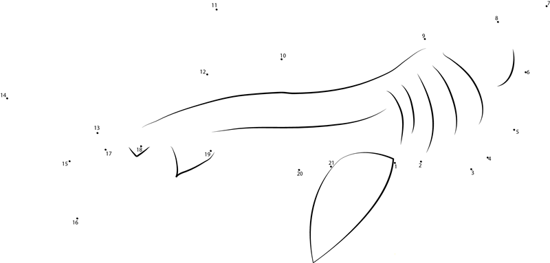 Back Look Of Basking Shark dot to dot worksheets