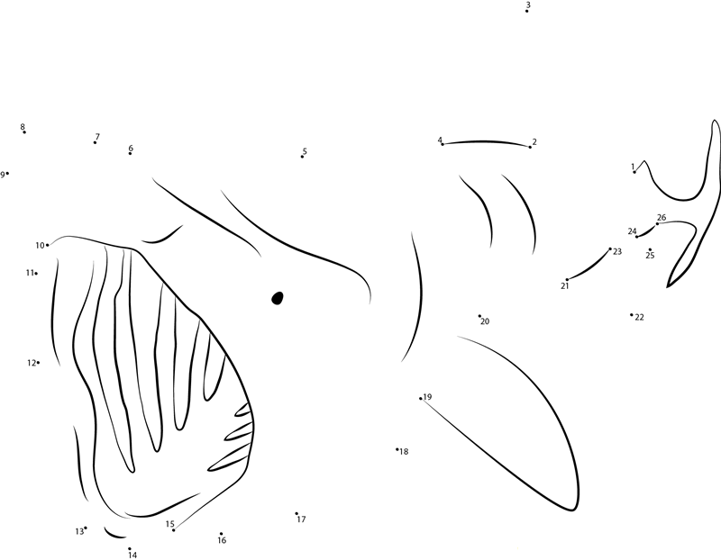 Basking Shark  Stuart Philpott printable dot to dot worksheet