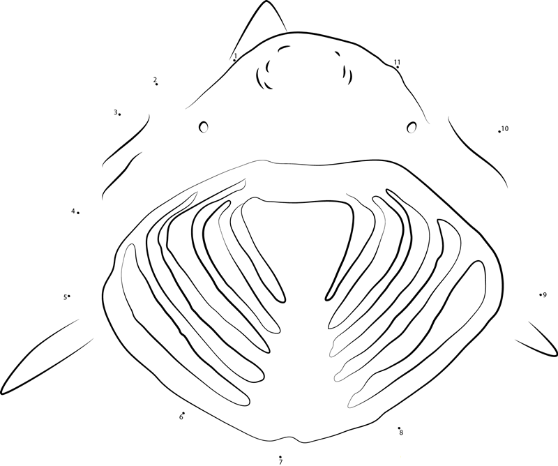 Basking Shark Open His Mouth dot to dot worksheets