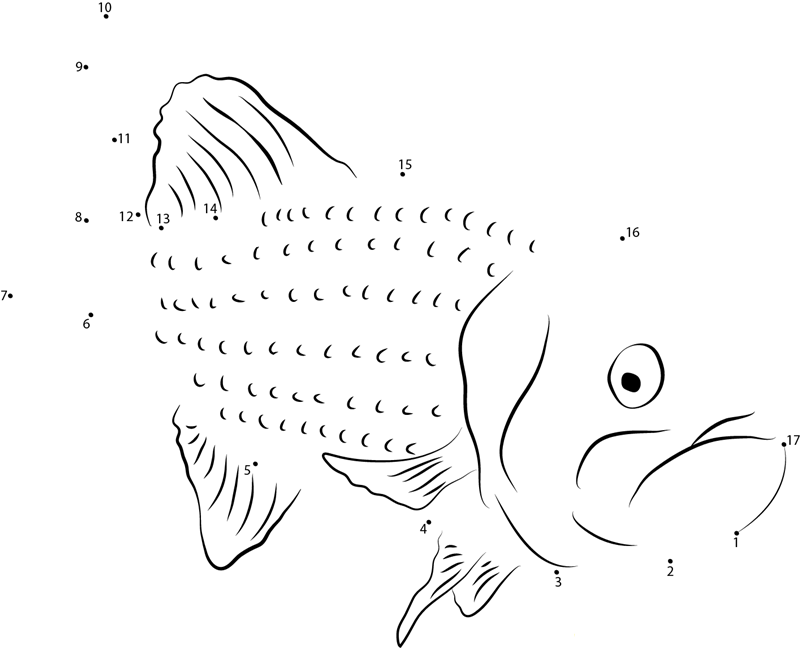 Australian Bass printable dot to dot worksheet