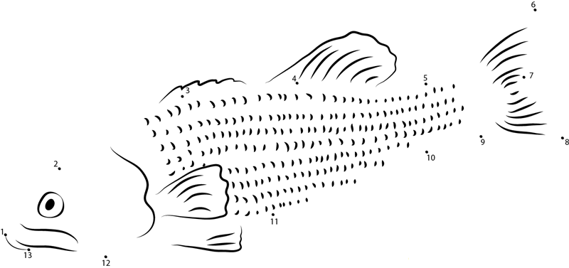 Bass Fish printable dot to dot worksheet