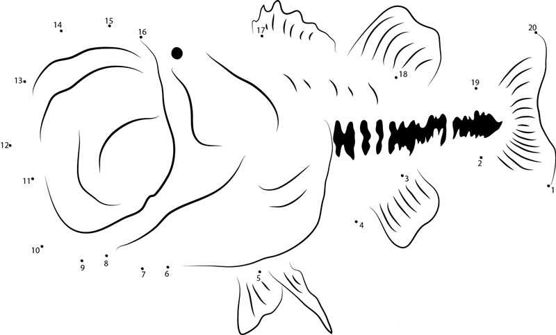 Bass Large Mouth Fish Mount printable dot to dot worksheet