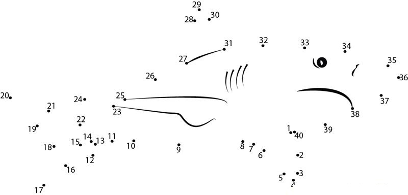 Confused Shark printable dot to dot worksheet