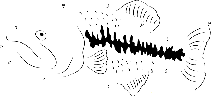 Black Basses dot to dot worksheets