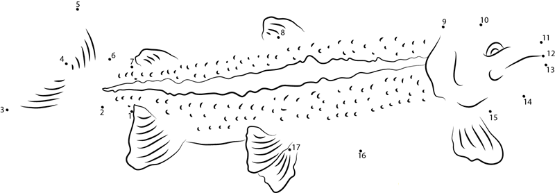 Chilean Sea Bass printable dot to dot worksheet