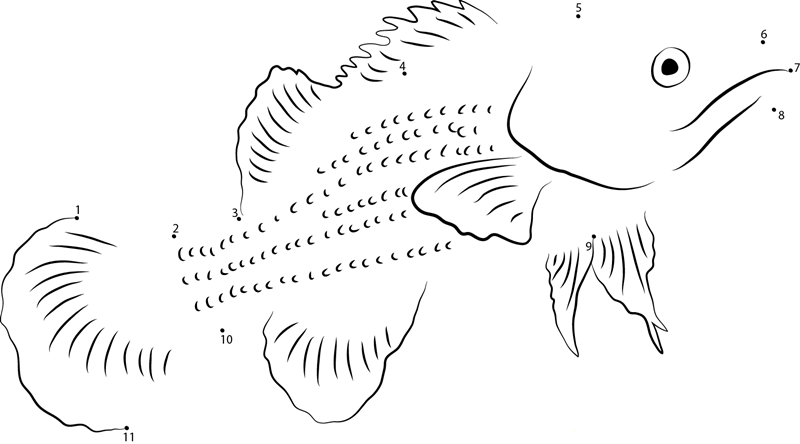 Choctaw Bass dot to dot worksheets