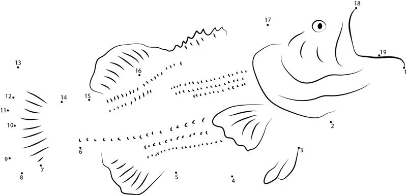 European Sea Bass printable dot to dot worksheet