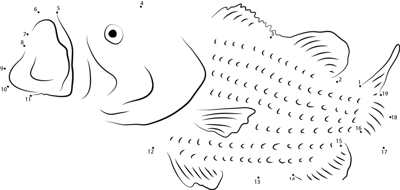 Guadalupe Bass dot to dot worksheets