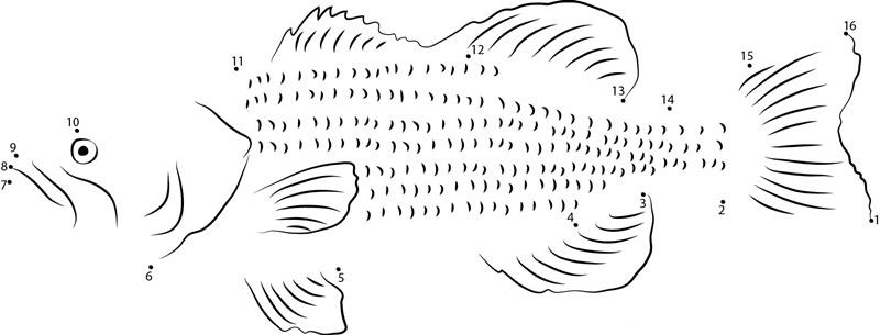 Large Bass printable dot to dot worksheet