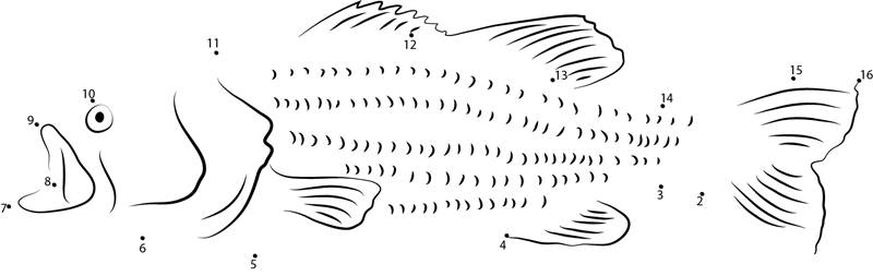 Large Mouth Bass Closeup printable dot to dot worksheet