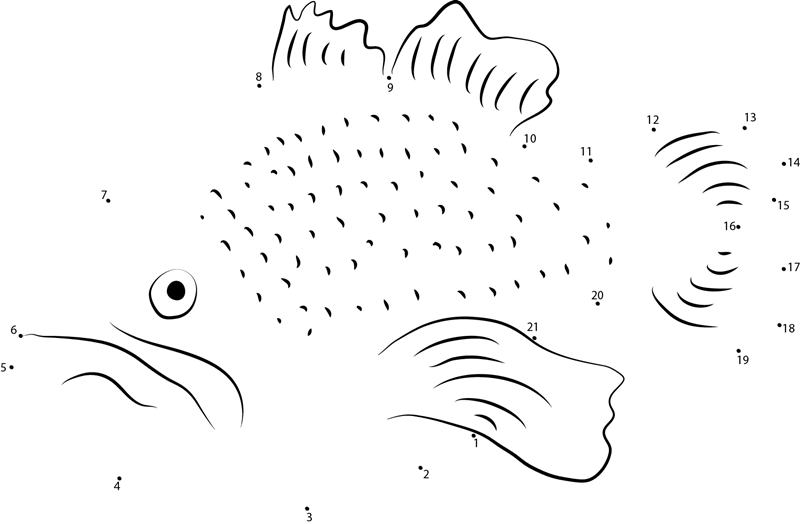 Micropterus Salmoides printable dot to dot worksheet