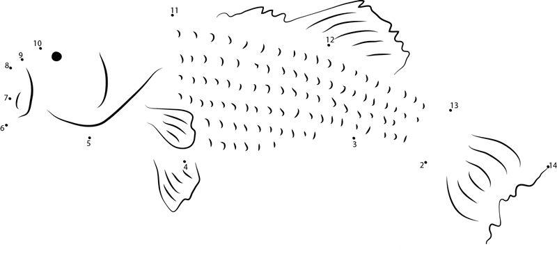 Temperate Basses dot to dot worksheets