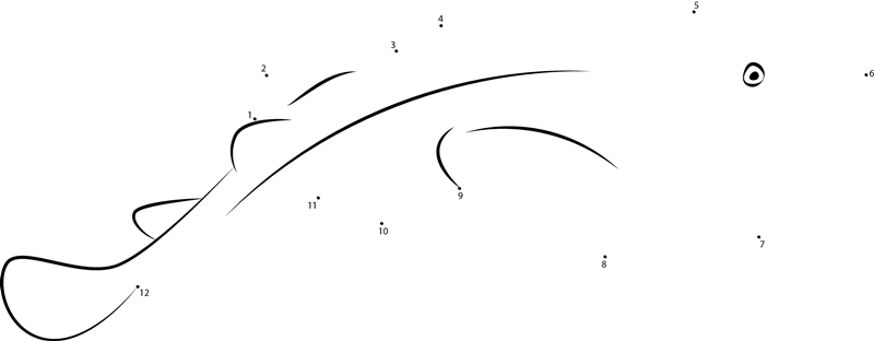 Electric Ray dot to dot worksheets