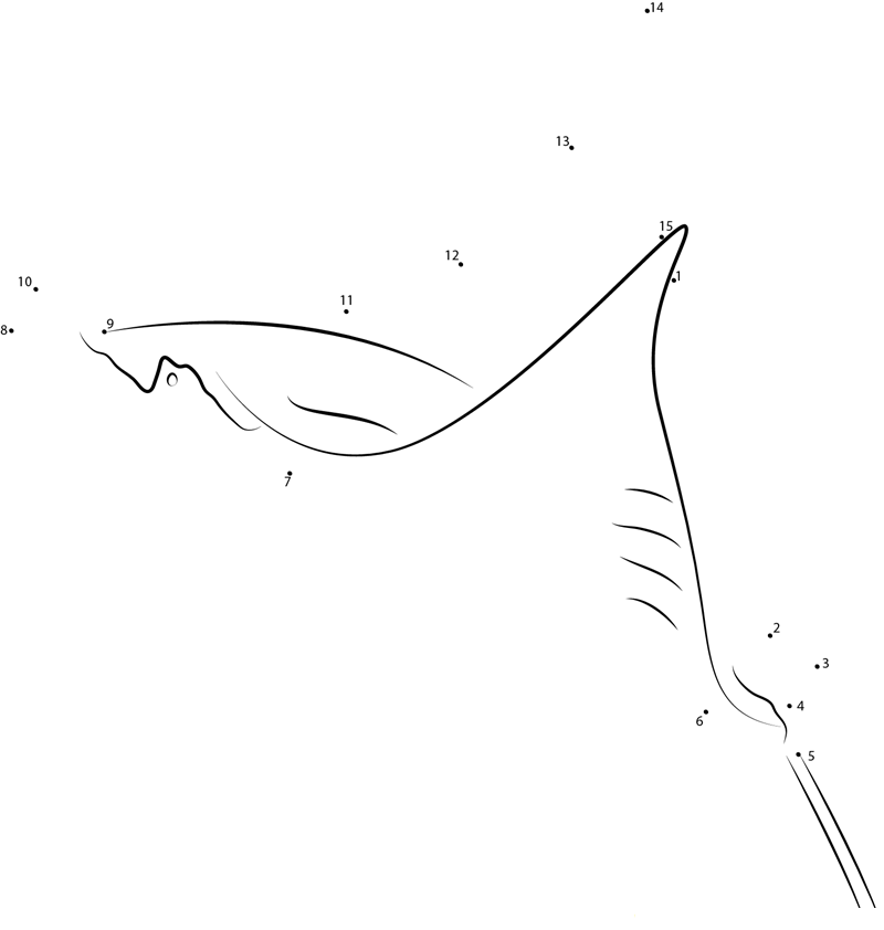 Jumping Manta Ray Fish dot to dot worksheets