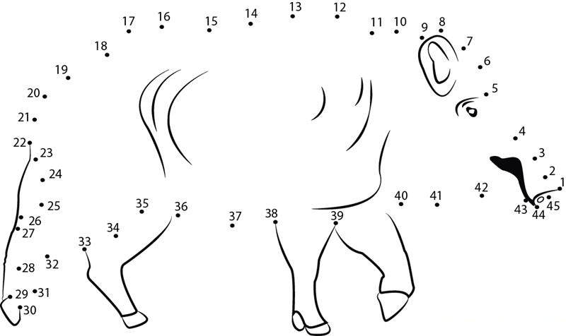 Boar Dot Pages 1 dot to dot worksheets