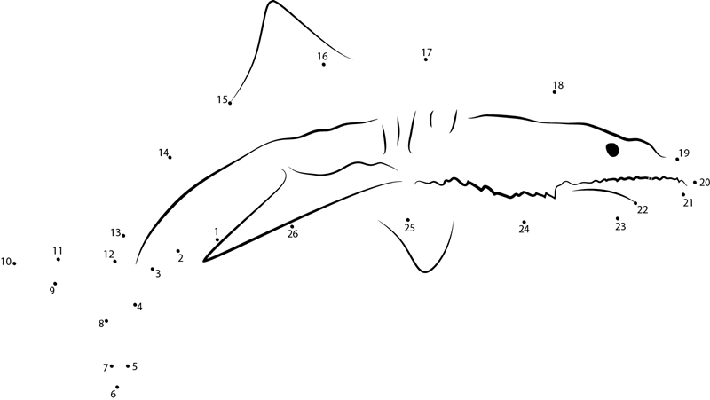 Sand Tiger Shark dot to dot worksheets