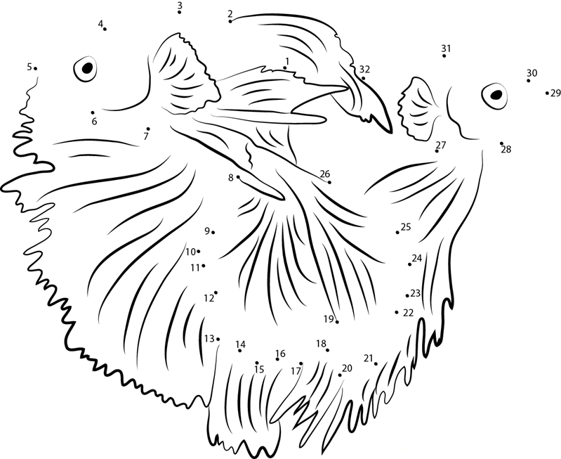 Beautiful Betta Fish dot to dot worksheets