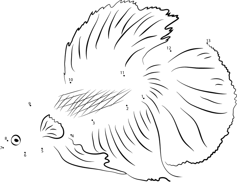 Betta Fish See Down dot to dot worksheets