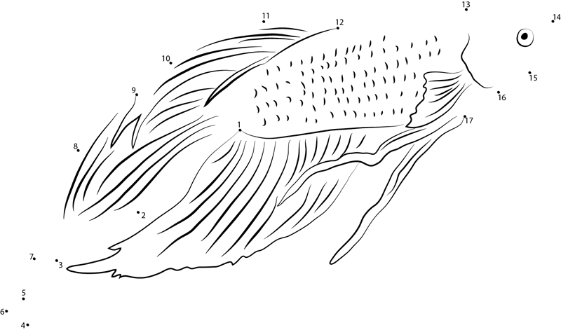 Betta Fish Up See printable dot to dot worksheet