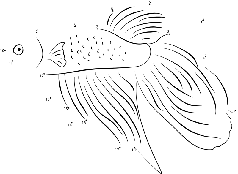 Betta Splendens printable dot to dot worksheet