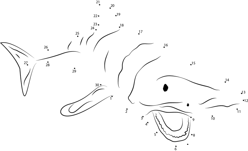 Shark At Look dot to dot worksheets