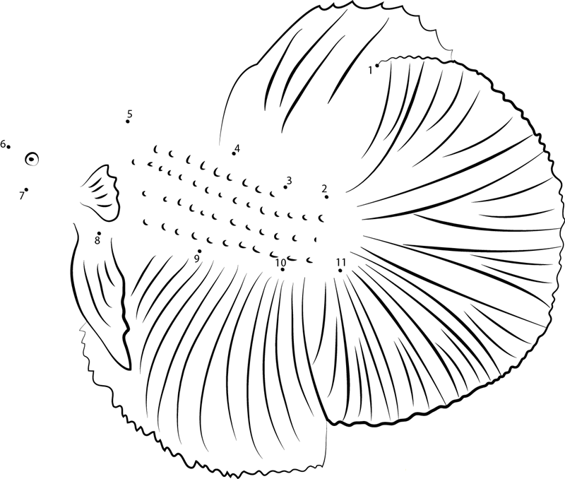 Cambodian Betta Fish dot to dot worksheets