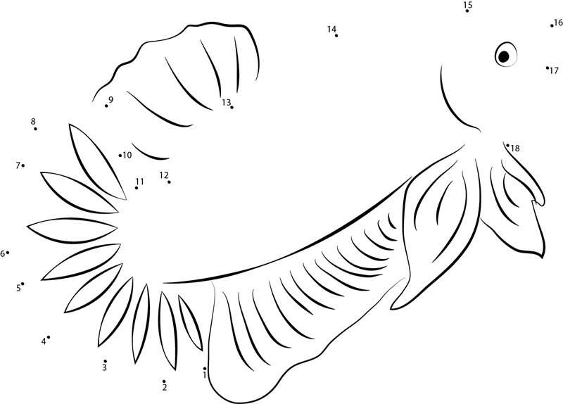 Dragon Betta Fish printable dot to dot worksheet