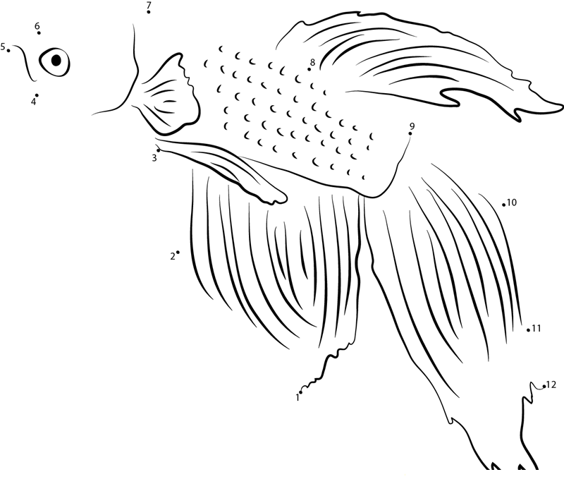 Orange Betta Fish printable dot to dot worksheet