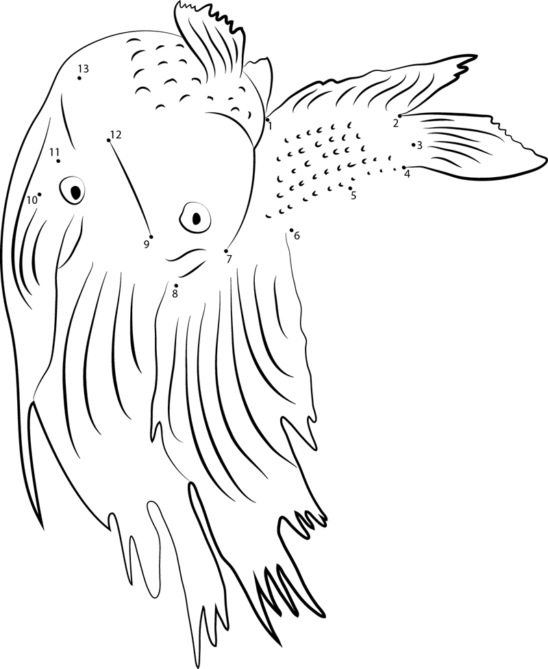 Siamese Fighting Fish printable dot to dot worksheet