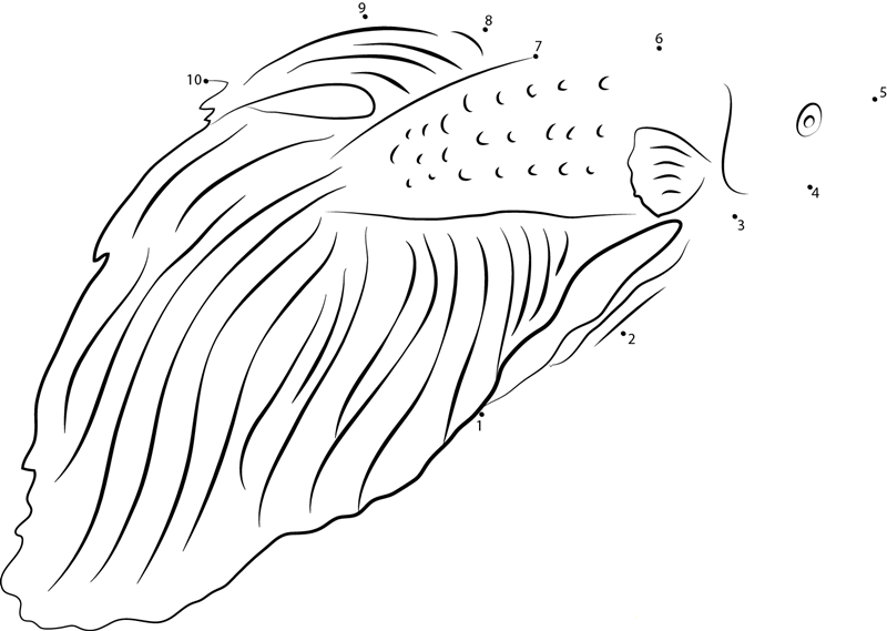 Sleeping Fish dot to dot worksheets