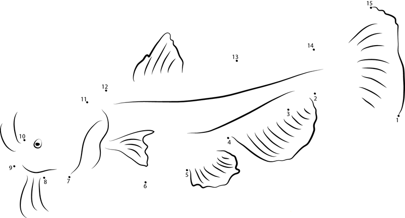 Ameiurus Melas printable dot to dot worksheet