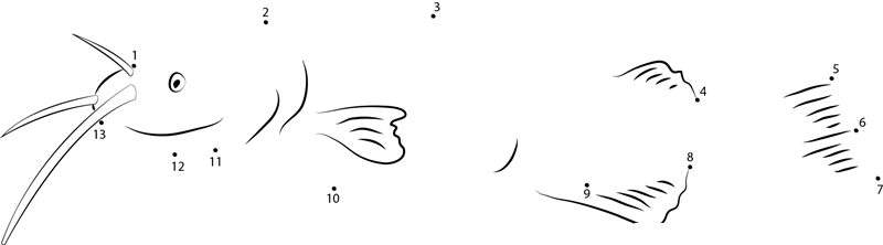 Ameiurus Nebulosus printable dot to dot worksheet