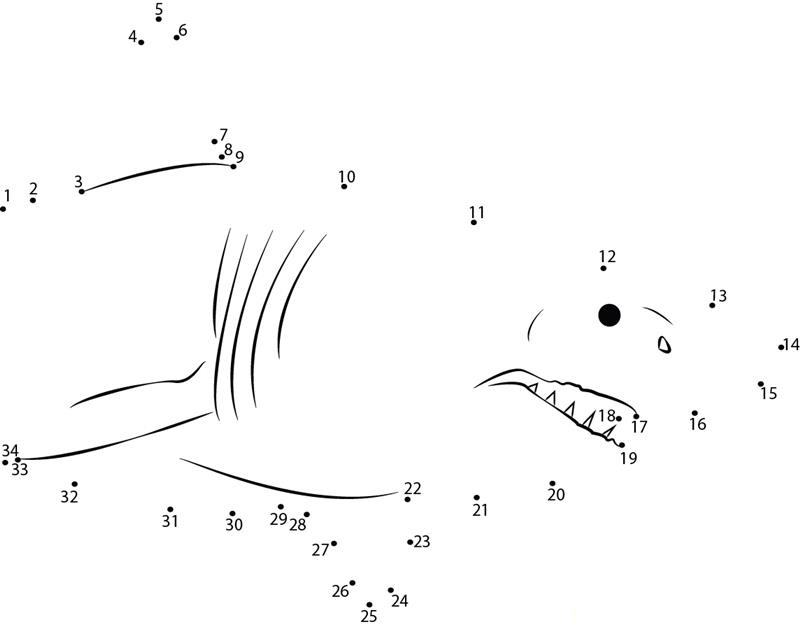 Shark Killer dot to dot worksheets