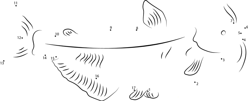 Bullhead Catfish printable dot to dot worksheet