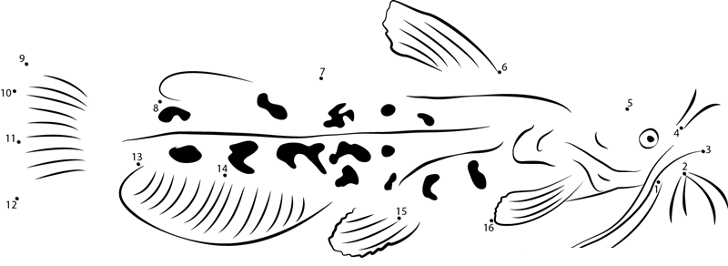 Spotted Bullhead dot to dot worksheets